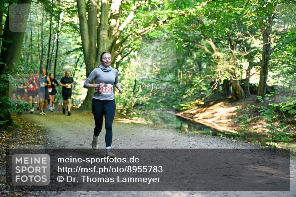 28.09.2025 - 33. Volkslauf durch das schöne Alstertal Dr. Thomas Lammeyer http://msf.ph/oto/8955783 28.09.2025 10:42:42 Laufen 2226 meine-sportfotos.de