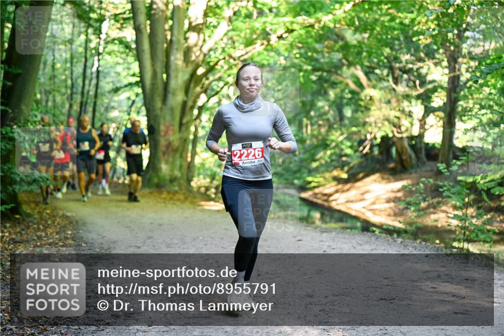 28.09.2025 - 33. Volkslauf durch das schöne Alstertal Dr. Thomas Lammeyer http://msf.ph/oto/8955791 28.09.2025 10:42:43 Laufen 2226 meine-sportfotos.de