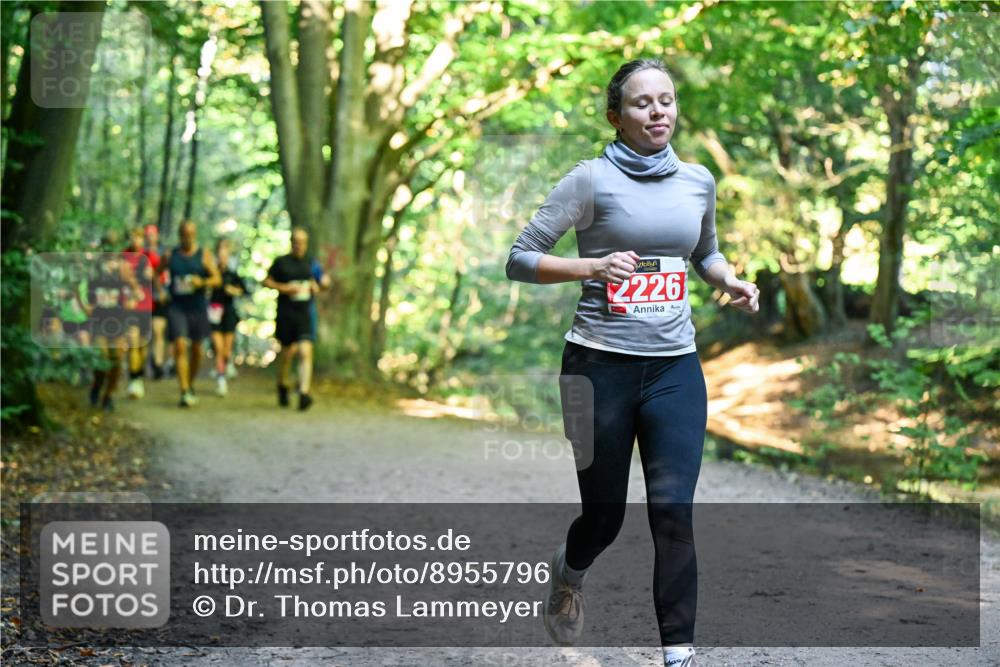 28.09.2025 - 33. Volkslauf durch das schöne Alstertal Dr. Thomas Lammeyer http://msf.ph/oto/8955796 28.09.2025 10:42:43 Laufen 2226 meine-sportfotos.de