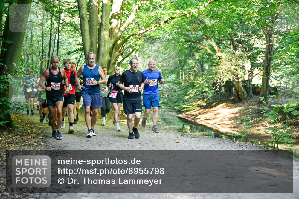 28.09.2025 - 33. Volkslauf durch das schöne Alstertal Dr. Thomas Lammeyer http://msf.ph/oto/8955798 28.09.2025 10:42:46 Laufen 2121, 33, 415 meine-sportfotos.de