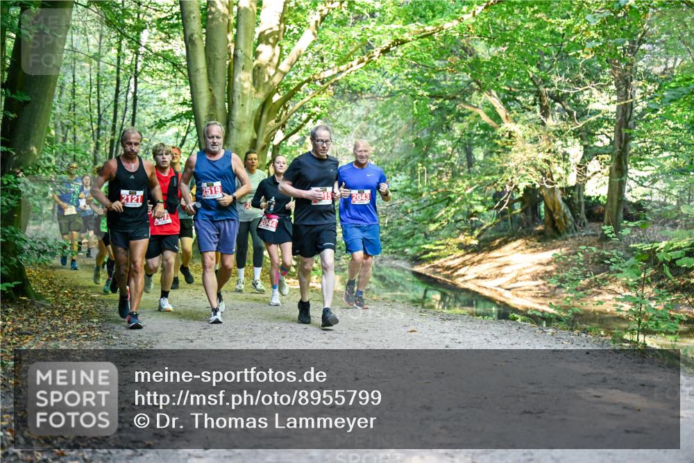 28.09.2025 - 33. Volkslauf durch das schöne Alstertal Dr. Thomas Lammeyer http://msf.ph/oto/8955799 28.09.2025 10:42:46 Laufen 2121, 2519, 2044, 2043 meine-sportfotos.de