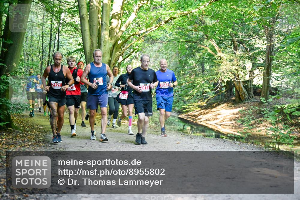 28.09.2025 - 33. Volkslauf durch das schöne Alstertal Dr. Thomas Lammeyer http://msf.ph/oto/8955802 28.09.2025 10:42:46 Laufen 2121, 2013, 265, 2044, 2415 meine-sportfotos.de