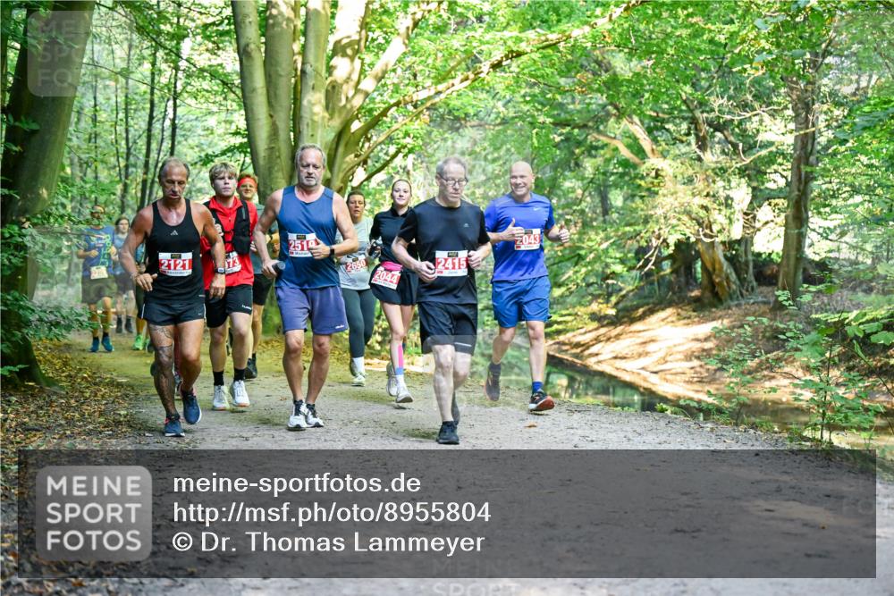 28.09.2025 - 33. Volkslauf durch das schöne Alstertal Dr. Thomas Lammeyer http://msf.ph/oto/8955804 28.09.2025 10:42:47 Laufen 2121, 251, 2650, 2044, 2415 meine-sportfotos.de