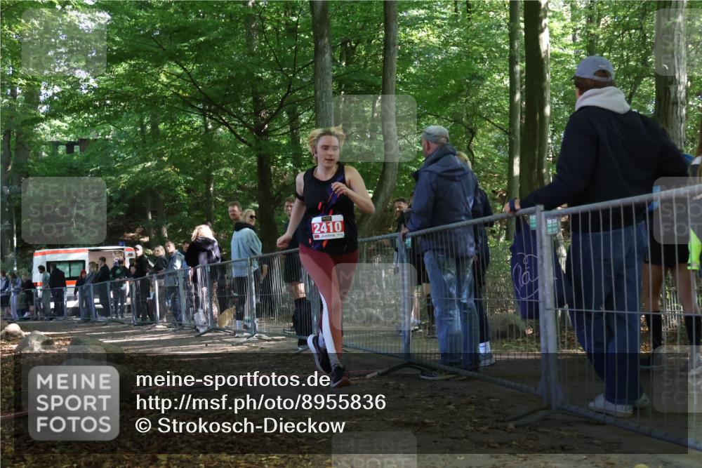 28.09.2025 - 33. Volkslauf durch das schöne Alstertal Strokosch-Dieckow http://msf.ph/oto/8955836 28.09.2025 12:48:46 Ziel 2410 meine-sportfotos.de