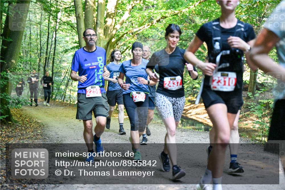 28.09.2025 - 33. Volkslauf durch das schöne Alstertal Dr. Thomas Lammeyer http://msf.ph/oto/8955842 28.09.2025 10:42:53 Laufen 2259, 2437, 2310 meine-sportfotos.de
