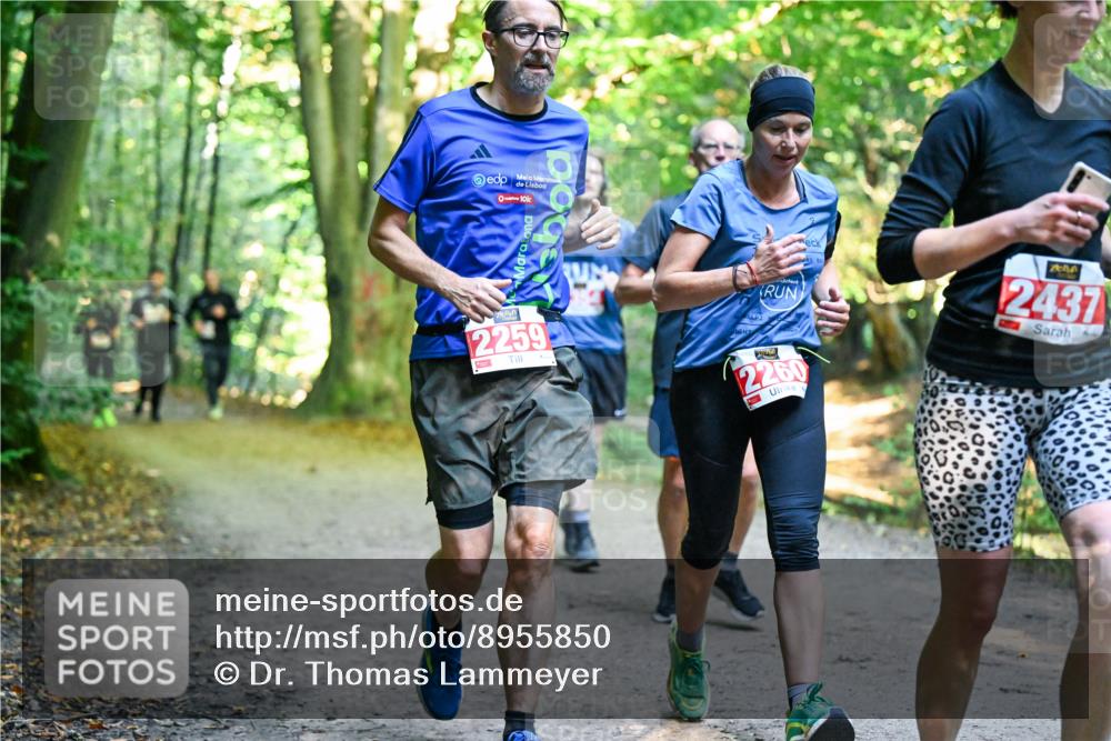 28.09.2025 - 33. Volkslauf durch das schöne Alstertal Dr. Thomas Lammeyer http://msf.ph/oto/8955850 28.09.2025 10:42:54 Laufen 10, 2437, 2259, 2260 meine-sportfotos.de