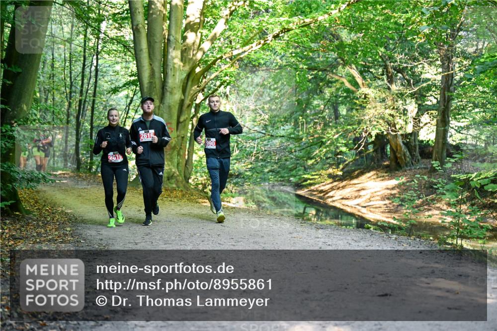 28.09.2025 - 33. Volkslauf durch das schöne Alstertal Dr. Thomas Lammeyer http://msf.ph/oto/8955861 28.09.2025 10:42:58 Laufen 2615, 2616, 2990 meine-sportfotos.de