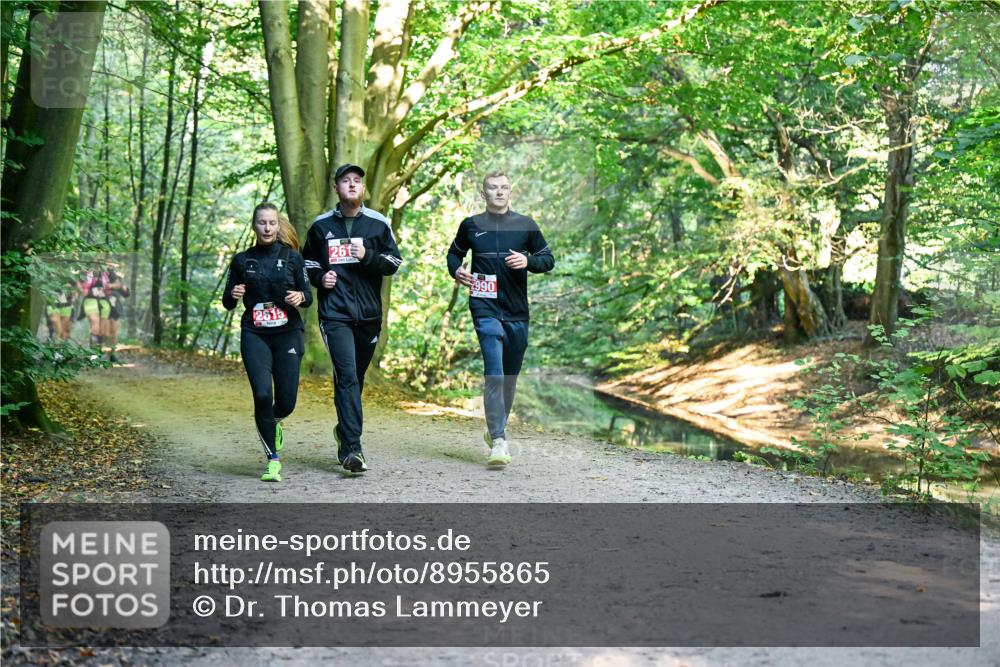 28.09.2025 - 33. Volkslauf durch das schöne Alstertal Dr. Thomas Lammeyer http://msf.ph/oto/8955865 28.09.2025 10:42:59 Laufen 2615, 261, 990 meine-sportfotos.de