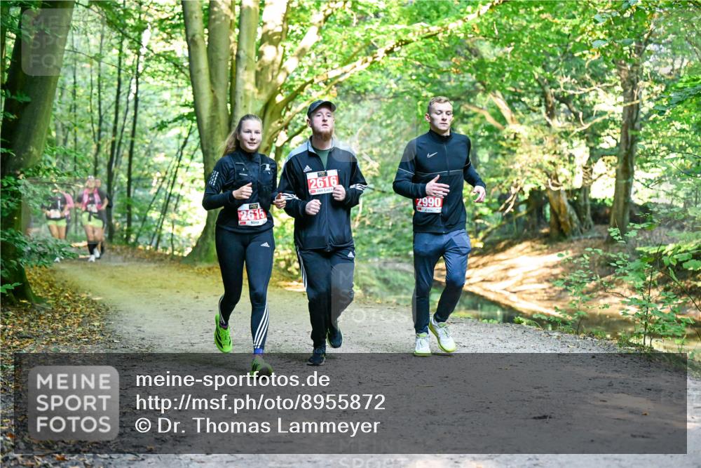 28.09.2025 - 33. Volkslauf durch das schöne Alstertal Dr. Thomas Lammeyer http://msf.ph/oto/8955872 28.09.2025 10:43:00 Laufen 2616, 2990 meine-sportfotos.de