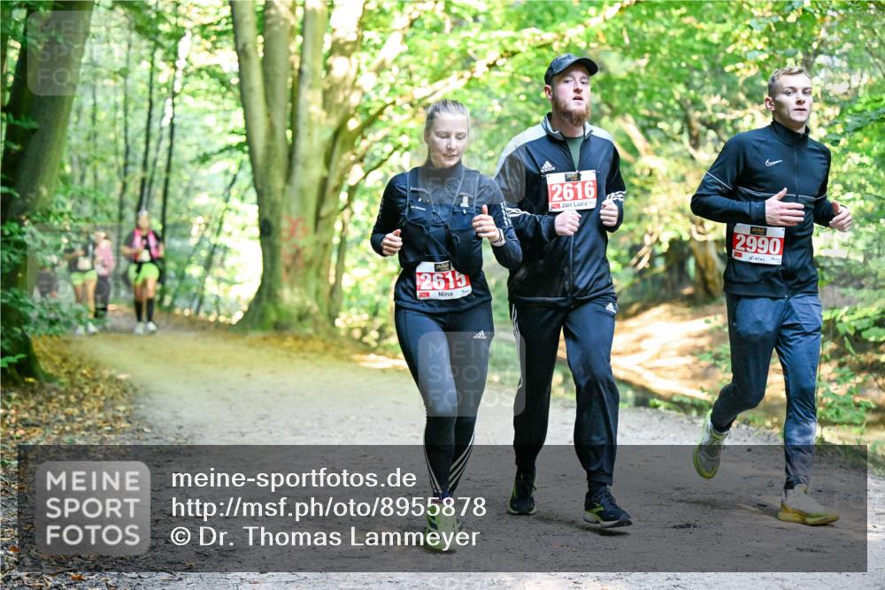 28.09.2025 - 33. Volkslauf durch das schöne Alstertal Dr. Thomas Lammeyer http://msf.ph/oto/8955878 28.09.2025 10:43:00 Laufen 2615, 2616, 2990 meine-sportfotos.de