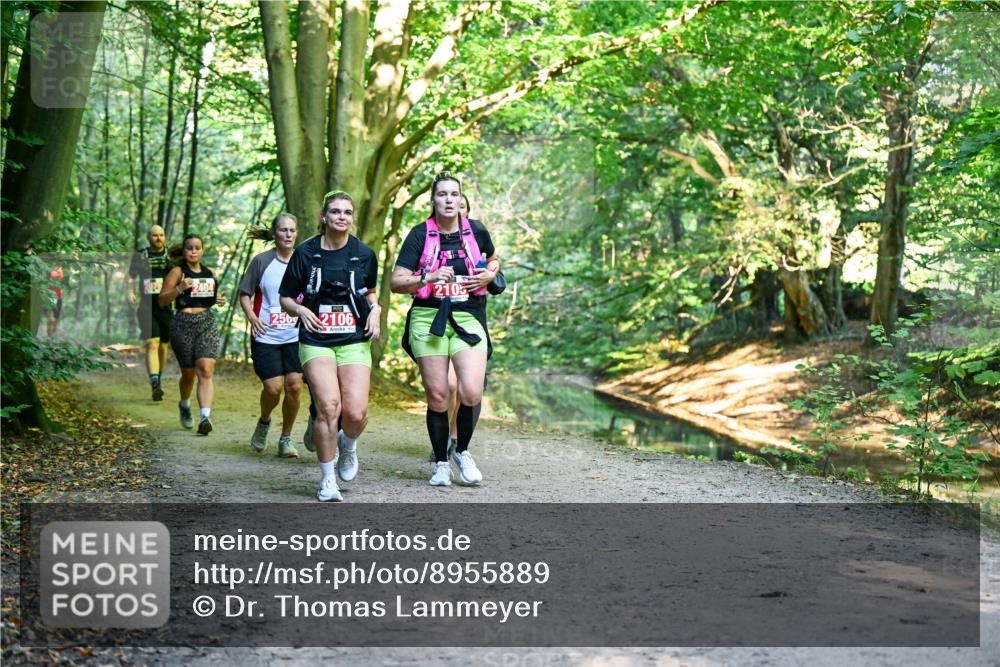 28.09.2025 - 33. Volkslauf durch das schöne Alstertal Dr. Thomas Lammeyer http://msf.ph/oto/8955889 28.09.2025 10:43:07 Laufen 2404, 256, 2106, 2105 meine-sportfotos.de