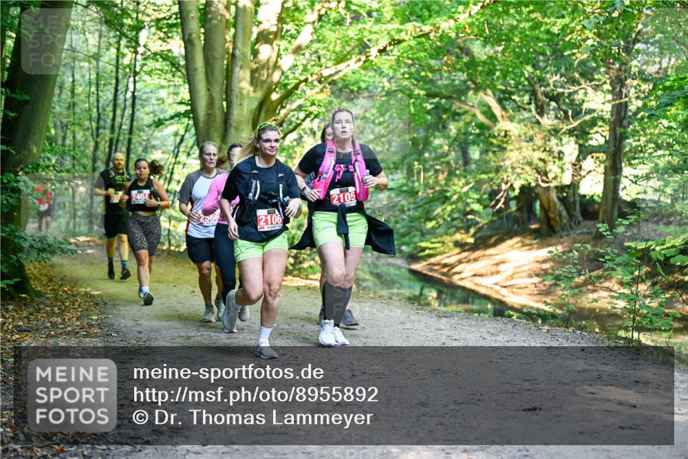 28.09.2025 - 33. Volkslauf durch das schöne Alstertal Dr. Thomas Lammeyer http://msf.ph/oto/8955892 28.09.2025 10:43:07 Laufen 2404, 2105, 256, 2106 meine-sportfotos.de