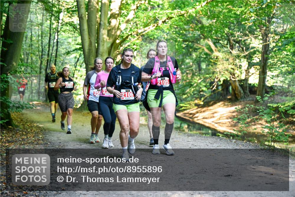 28.09.2025 - 33. Volkslauf durch das schöne Alstertal Dr. Thomas Lammeyer http://msf.ph/oto/8955896 28.09.2025 10:43:07 Laufen 2404, 2106, 2105 meine-sportfotos.de