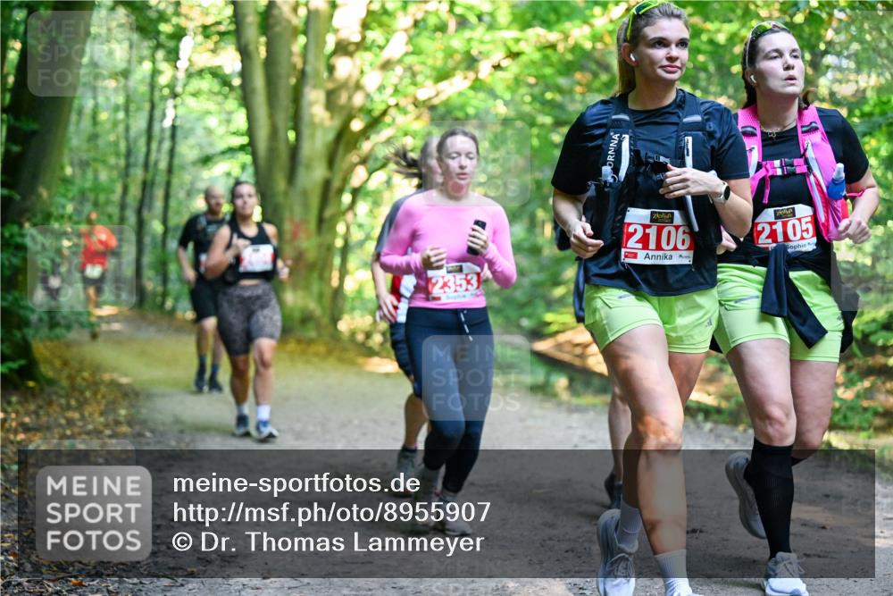 28.09.2025 - 33. Volkslauf durch das schöne Alstertal Dr. Thomas Lammeyer http://msf.ph/oto/8955907 28.09.2025 10:43:09 Laufen 2353, 2106, 2105 meine-sportfotos.de