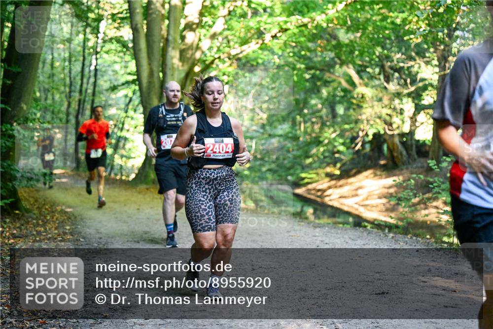 28.09.2025 - 33. Volkslauf durch das schöne Alstertal Dr. Thomas Lammeyer http://msf.ph/oto/8955920 28.09.2025 10:43:11 Laufen 207, 2404 meine-sportfotos.de