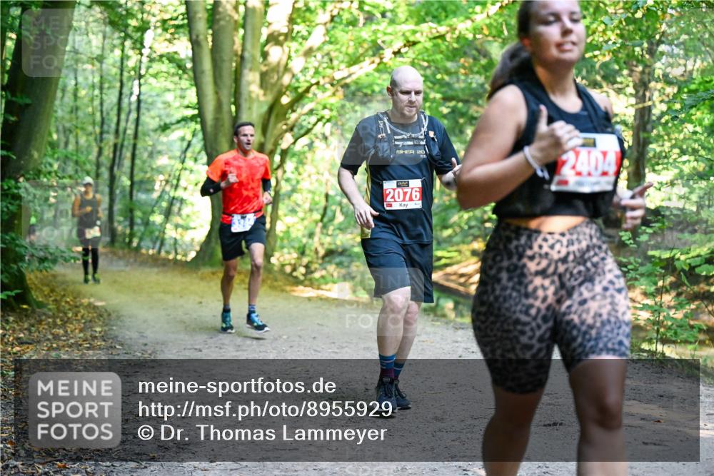28.09.2025 - 33. Volkslauf durch das schöne Alstertal Dr. Thomas Lammeyer http://msf.ph/oto/8955929 28.09.2025 10:43:12 Laufen 20, 2076, 2404 meine-sportfotos.de