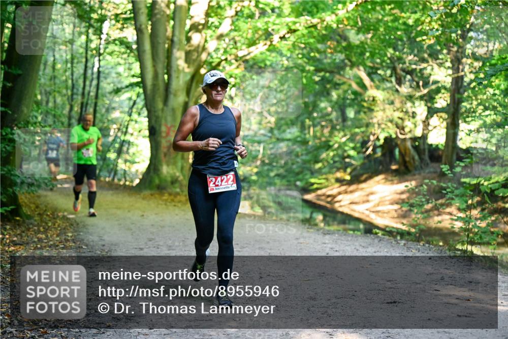 28.09.2025 - 33. Volkslauf durch das schöne Alstertal Dr. Thomas Lammeyer http://msf.ph/oto/8955946 28.09.2025 10:43:18 Laufen 2422 meine-sportfotos.de