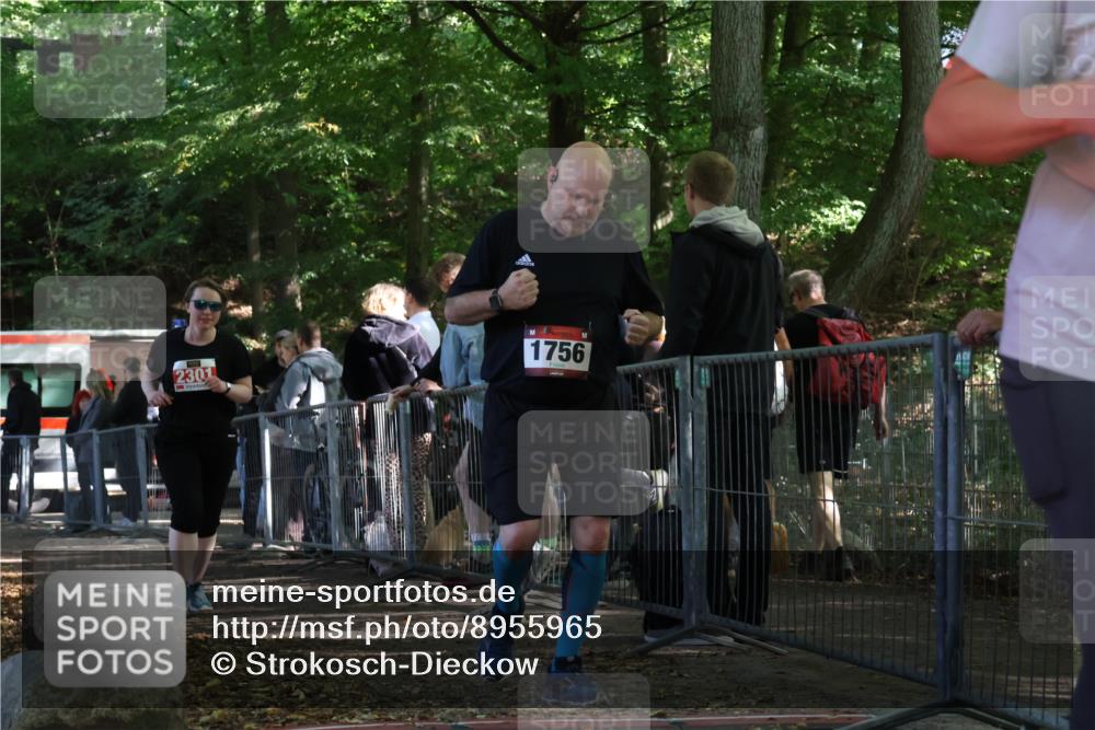 28.09.2025 - 33. Volkslauf durch das schöne Alstertal Strokosch-Dieckow http://msf.ph/oto/8955965 28.09.2025 12:49:31 Ziel 1756, 2301, 2650 meine-sportfotos.de