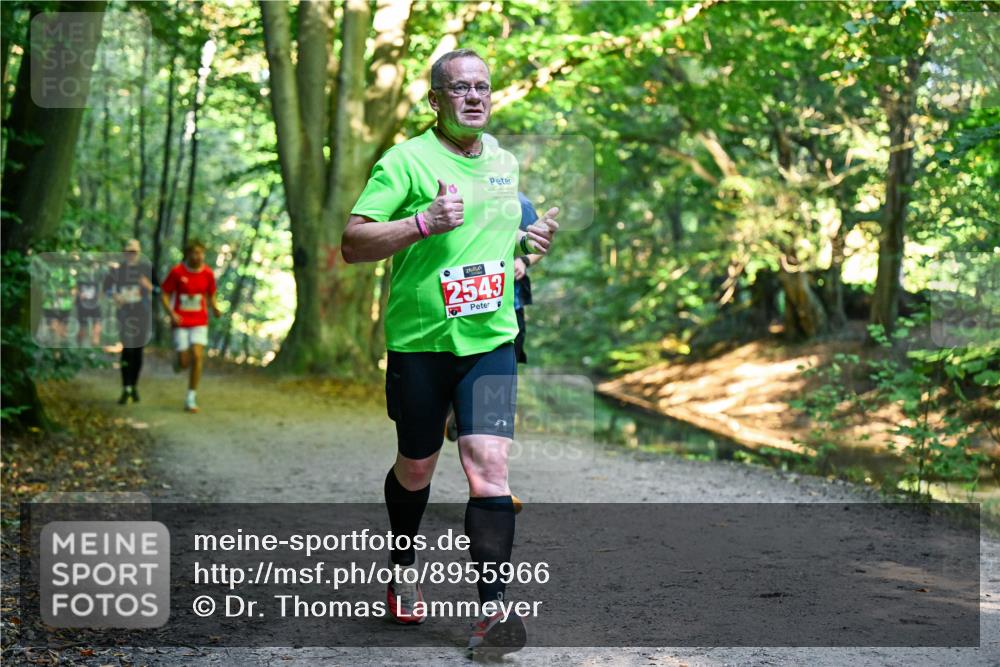 28.09.2025 - 33. Volkslauf durch das schöne Alstertal Dr. Thomas Lammeyer http://msf.ph/oto/8955966 28.09.2025 10:43:22 Laufen 2543 meine-sportfotos.de