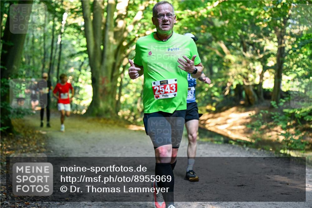 28.09.2025 - 33. Volkslauf durch das schöne Alstertal Dr. Thomas Lammeyer http://msf.ph/oto/8955969 28.09.2025 10:43:23 Laufen 2543, 0 meine-sportfotos.de