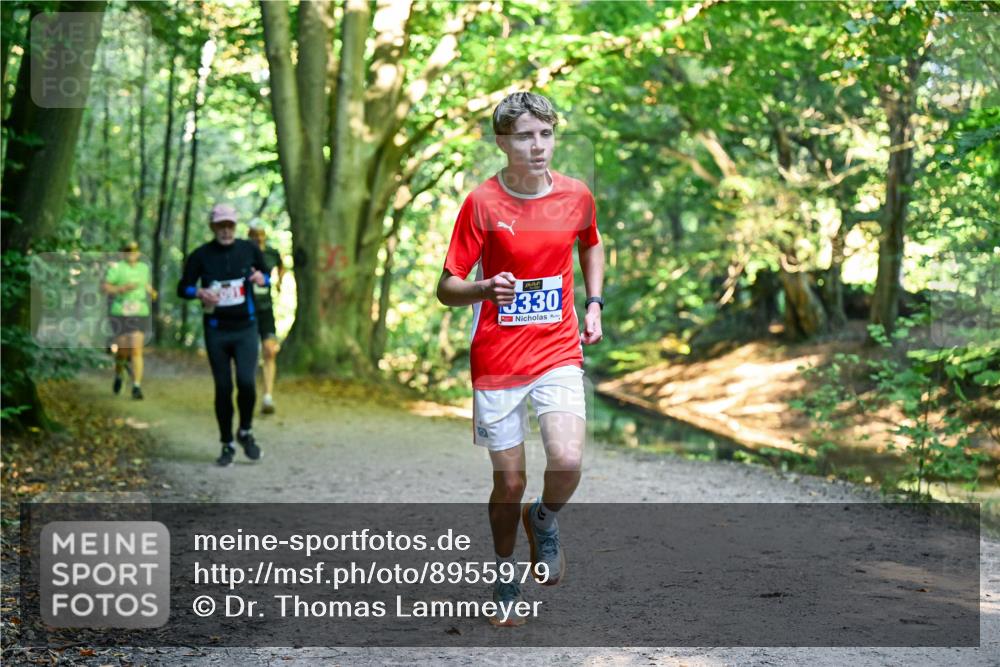 28.09.2025 - 33. Volkslauf durch das schöne Alstertal Dr. Thomas Lammeyer http://msf.ph/oto/8955979 28.09.2025 10:43:25 Laufen 330 meine-sportfotos.de