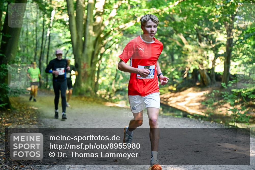 28.09.2025 - 33. Volkslauf durch das schöne Alstertal Dr. Thomas Lammeyer http://msf.ph/oto/8955980 28.09.2025 10:43:26 Laufen 0 meine-sportfotos.de