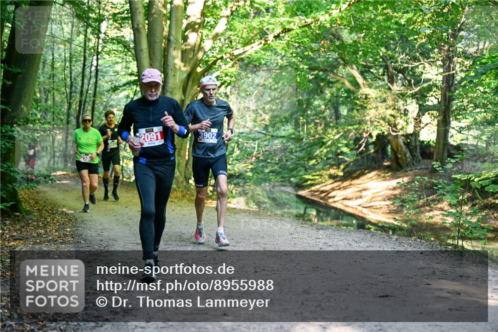 28.09.2025 - 33. Volkslauf durch das schöne Alstertal Dr. Thomas Lammeyer http://msf.ph/oto/8955988 28.09.2025 10:43:27 Laufen 2091, 3902 meine-sportfotos.de