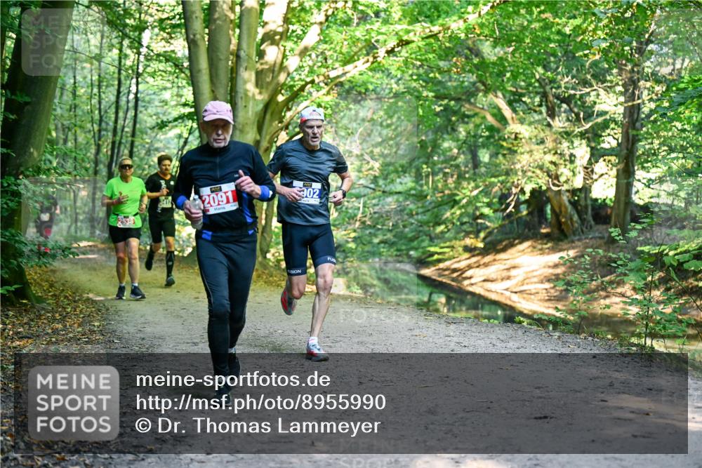 28.09.2025 - 33. Volkslauf durch das schöne Alstertal Dr. Thomas Lammeyer http://msf.ph/oto/8955990 28.09.2025 10:43:28 Laufen 2091, 902 meine-sportfotos.de