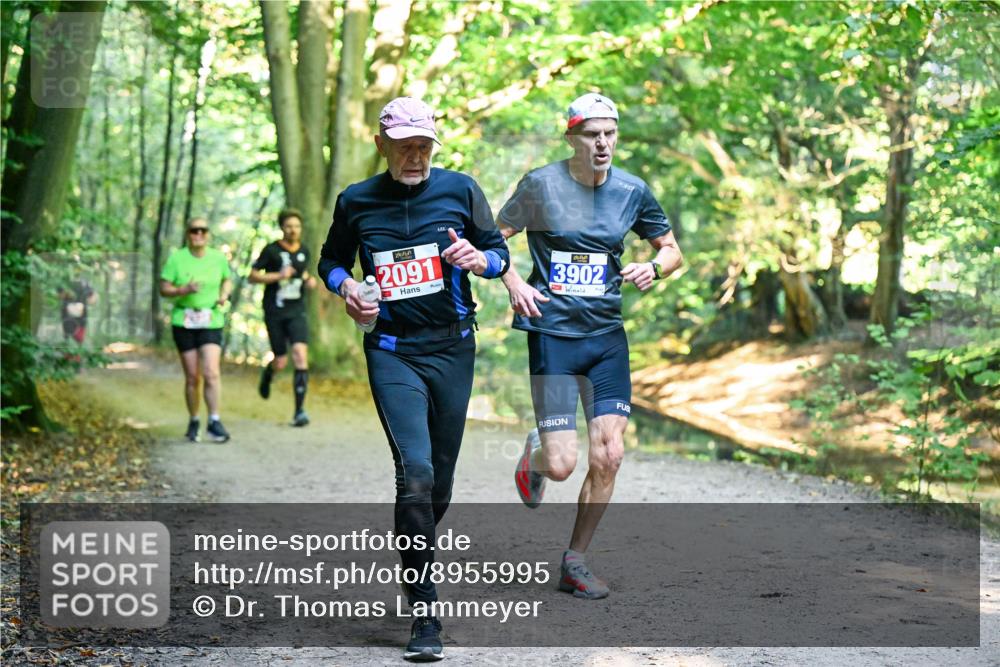 28.09.2025 - 33. Volkslauf durch das schöne Alstertal Dr. Thomas Lammeyer http://msf.ph/oto/8955995 28.09.2025 10:43:28 Laufen 2091, 3902 meine-sportfotos.de
