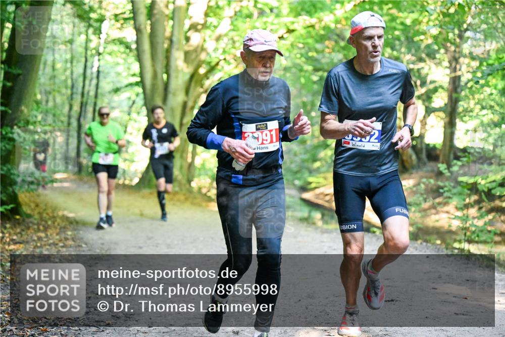 28.09.2025 - 33. Volkslauf durch das schöne Alstertal Dr. Thomas Lammeyer http://msf.ph/oto/8955998 28.09.2025 10:43:29 Laufen 991 meine-sportfotos.de