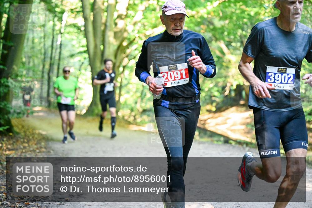 28.09.2025 - 33. Volkslauf durch das schöne Alstertal Dr. Thomas Lammeyer http://msf.ph/oto/8956001 28.09.2025 10:43:29 Laufen 2091, 3902 meine-sportfotos.de