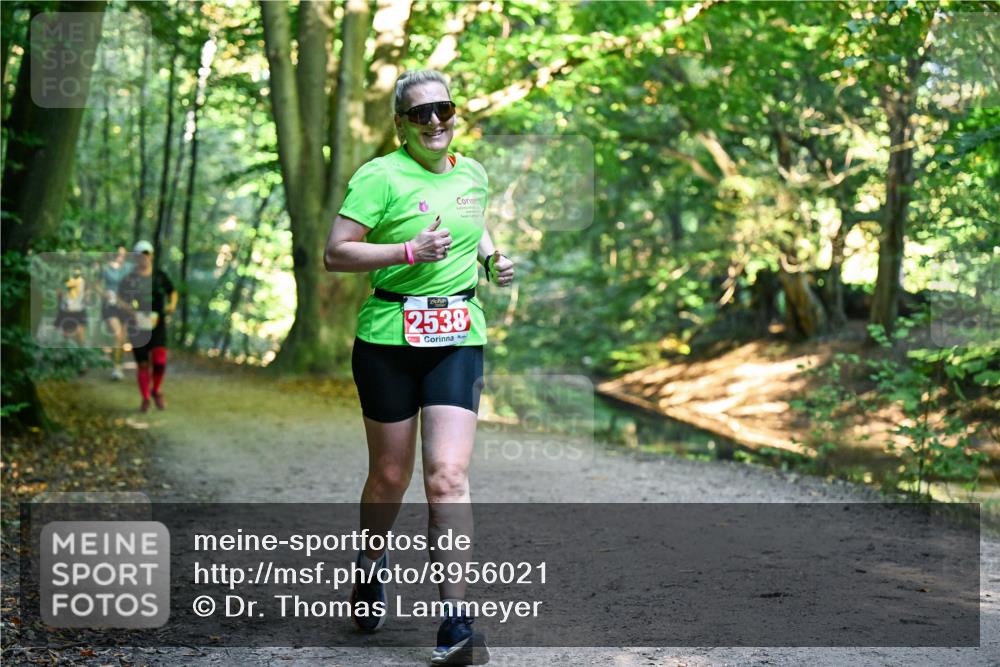 28.09.2025 - 33. Volkslauf durch das schöne Alstertal Dr. Thomas Lammeyer http://msf.ph/oto/8956021 28.09.2025 10:43:32 Laufen 2538 meine-sportfotos.de