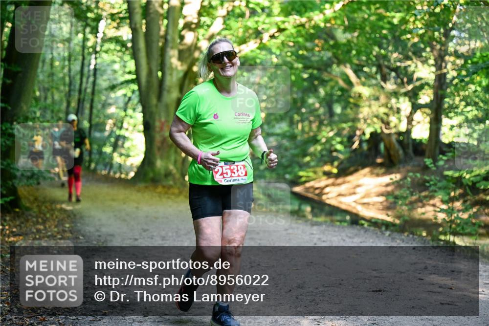 28.09.2025 - 33. Volkslauf durch das schöne Alstertal Dr. Thomas Lammeyer http://msf.ph/oto/8956022 28.09.2025 10:43:32 Laufen 2538 meine-sportfotos.de