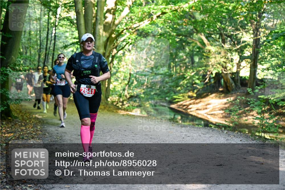 28.09.2025 - 33. Volkslauf durch das schöne Alstertal Dr. Thomas Lammeyer http://msf.ph/oto/8956028 28.09.2025 10:43:37 Laufen 2641 meine-sportfotos.de