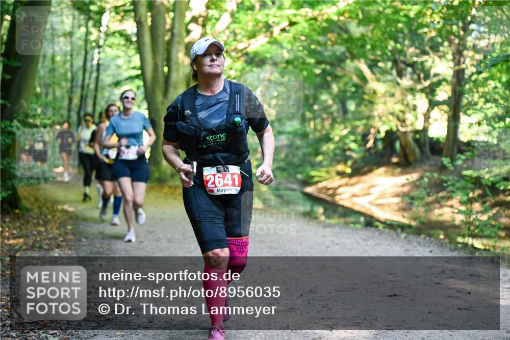 28.09.2025 - 33. Volkslauf durch das schöne Alstertal Dr. Thomas Lammeyer http://msf.ph/oto/8956035 28.09.2025 10:43:37 Laufen 2641 meine-sportfotos.de