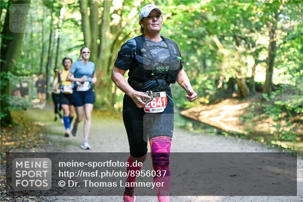 28.09.2025 - 33. Volkslauf durch das schöne Alstertal Dr. Thomas Lammeyer http://msf.ph/oto/8956037 28.09.2025 10:43:38 Laufen 2641 meine-sportfotos.de