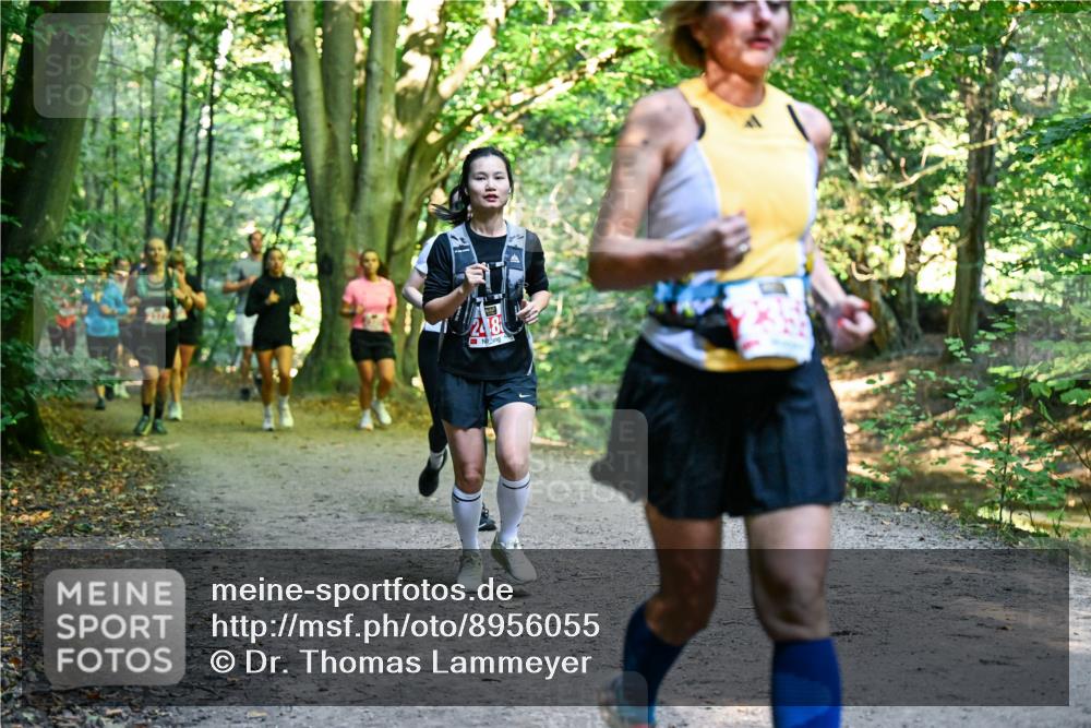 28.09.2025 - 33. Volkslauf durch das schöne Alstertal Dr. Thomas Lammeyer http://msf.ph/oto/8956055 28.09.2025 10:43:41 Laufen 28 meine-sportfotos.de