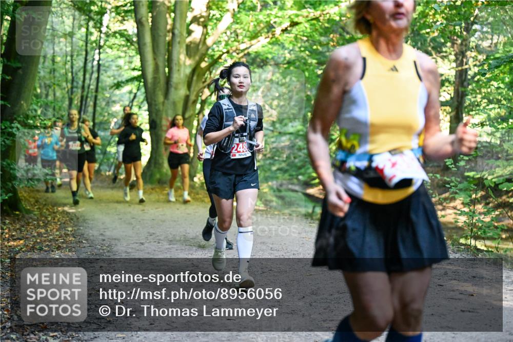 28.09.2025 - 33. Volkslauf durch das schöne Alstertal Dr. Thomas Lammeyer http://msf.ph/oto/8956056 28.09.2025 10:43:41 Laufen 248 meine-sportfotos.de