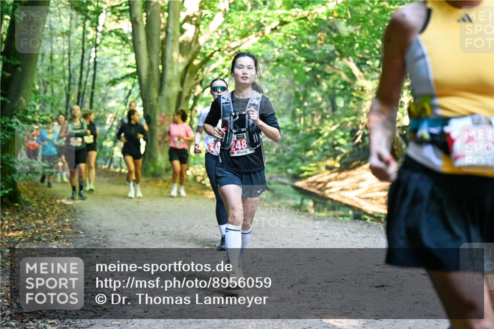 28.09.2025 - 33. Volkslauf durch das schöne Alstertal Dr. Thomas Lammeyer http://msf.ph/oto/8956059 28.09.2025 10:43:41 Laufen 248 meine-sportfotos.de