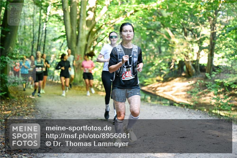 28.09.2025 - 33. Volkslauf durch das schöne Alstertal Dr. Thomas Lammeyer http://msf.ph/oto/8956061 28.09.2025 10:43:41 Laufen 248 meine-sportfotos.de