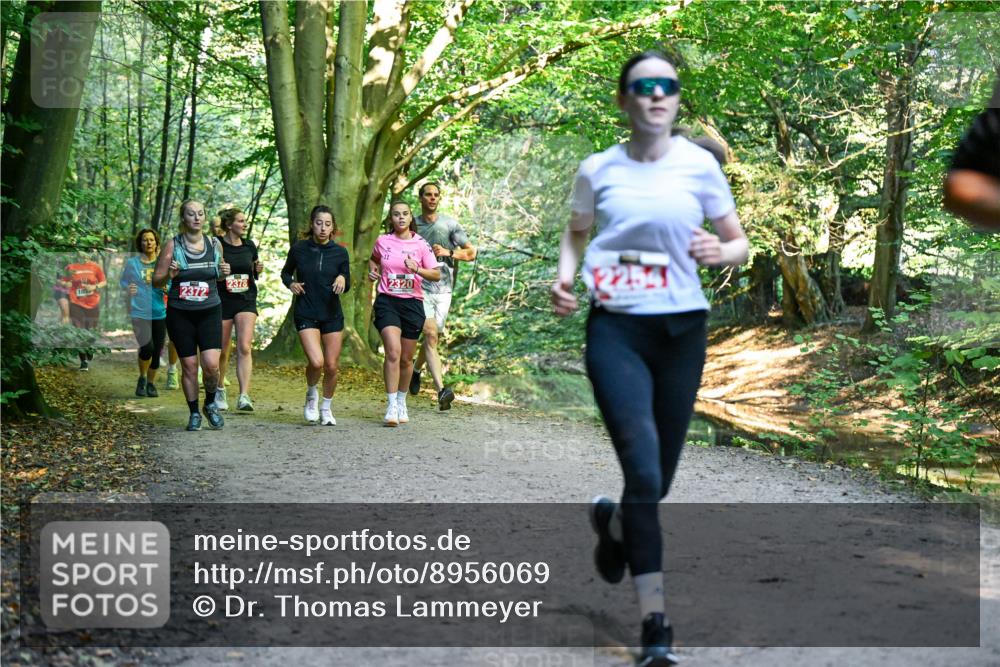 28.09.2025 - 33. Volkslauf durch das schöne Alstertal Dr. Thomas Lammeyer http://msf.ph/oto/8956069 28.09.2025 10:43:43 Laufen 10, 2372, 2378, 320, 2254 meine-sportfotos.de