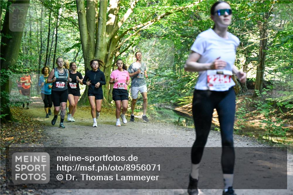 28.09.2025 - 33. Volkslauf durch das schöne Alstertal Dr. Thomas Lammeyer http://msf.ph/oto/8956071 28.09.2025 10:43:43 Laufen 1037, 2372, 2378, 2320, 3018, 2254 meine-sportfotos.de