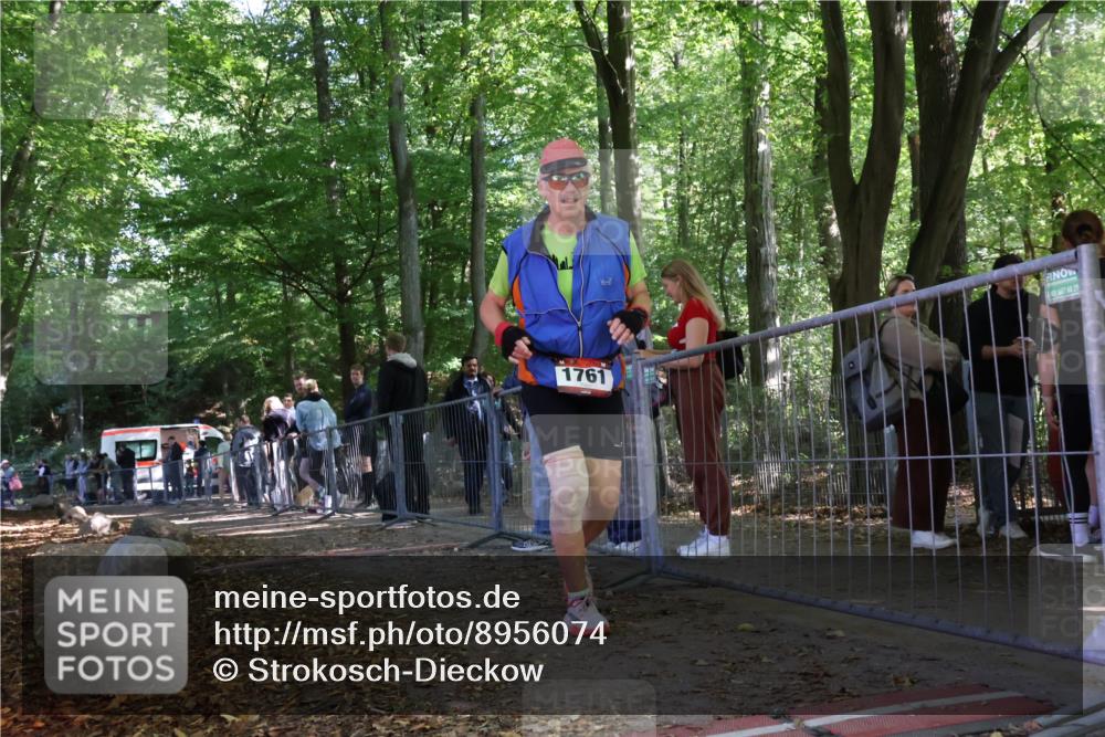 28.09.2025 - 33. Volkslauf durch das schöne Alstertal Strokosch-Dieckow http://msf.ph/oto/8956074 28.09.2025 12:50:08 Ziel 1761 meine-sportfotos.de