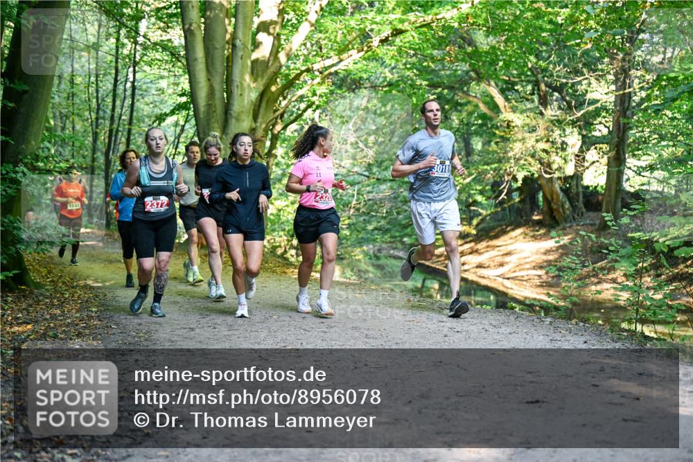 28.09.2025 - 33. Volkslauf durch das schöne Alstertal Dr. Thomas Lammeyer http://msf.ph/oto/8956078 28.09.2025 10:43:44 Laufen 1037, 2372, 2320, 3018 meine-sportfotos.de