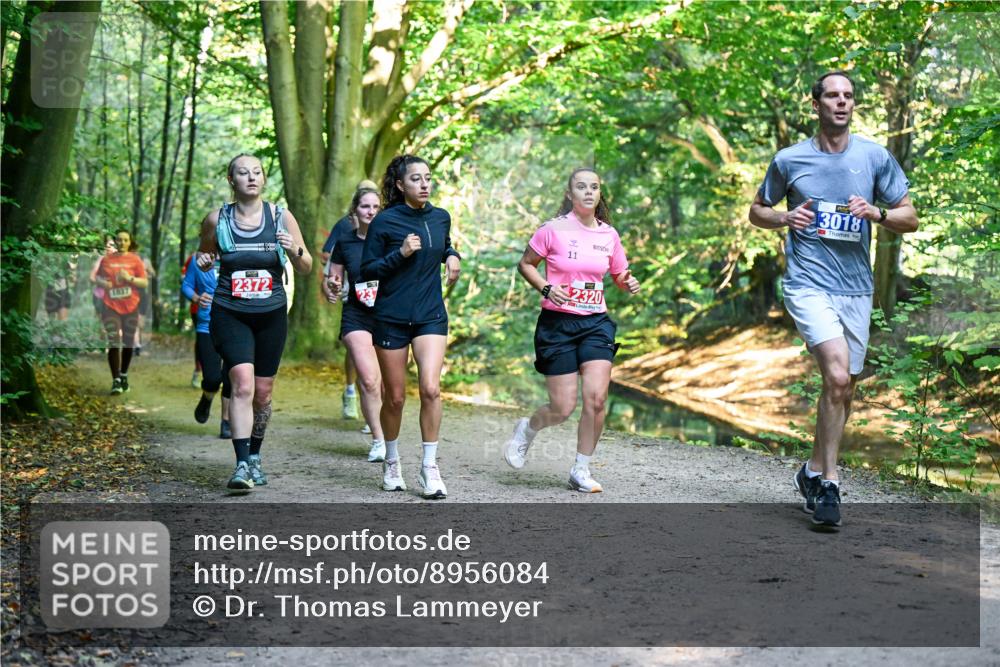 28.09.2025 - 33. Volkslauf durch das schöne Alstertal Dr. Thomas Lammeyer http://msf.ph/oto/8956084 28.09.2025 10:43:45 Laufen 1637, 2372, 11, 2320, 3018 meine-sportfotos.de