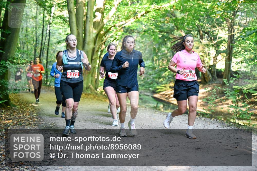 28.09.2025 - 33. Volkslauf durch das schöne Alstertal Dr. Thomas Lammeyer http://msf.ph/oto/8956089 28.09.2025 10:43:45 Laufen 2372, 2378, 11, 2320 meine-sportfotos.de