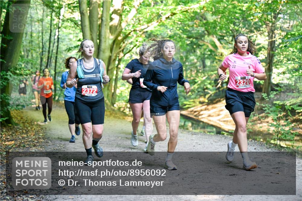 28.09.2025 - 33. Volkslauf durch das schöne Alstertal Dr. Thomas Lammeyer http://msf.ph/oto/8956092 28.09.2025 10:43:45 Laufen 1837, 2372, 11, 2320 meine-sportfotos.de