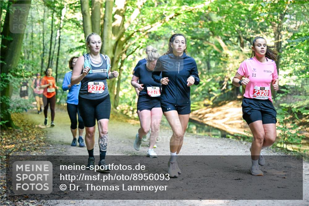 28.09.2025 - 33. Volkslauf durch das schöne Alstertal Dr. Thomas Lammeyer http://msf.ph/oto/8956093 28.09.2025 10:43:46 Laufen 2372, 2378, 11, 2320 meine-sportfotos.de