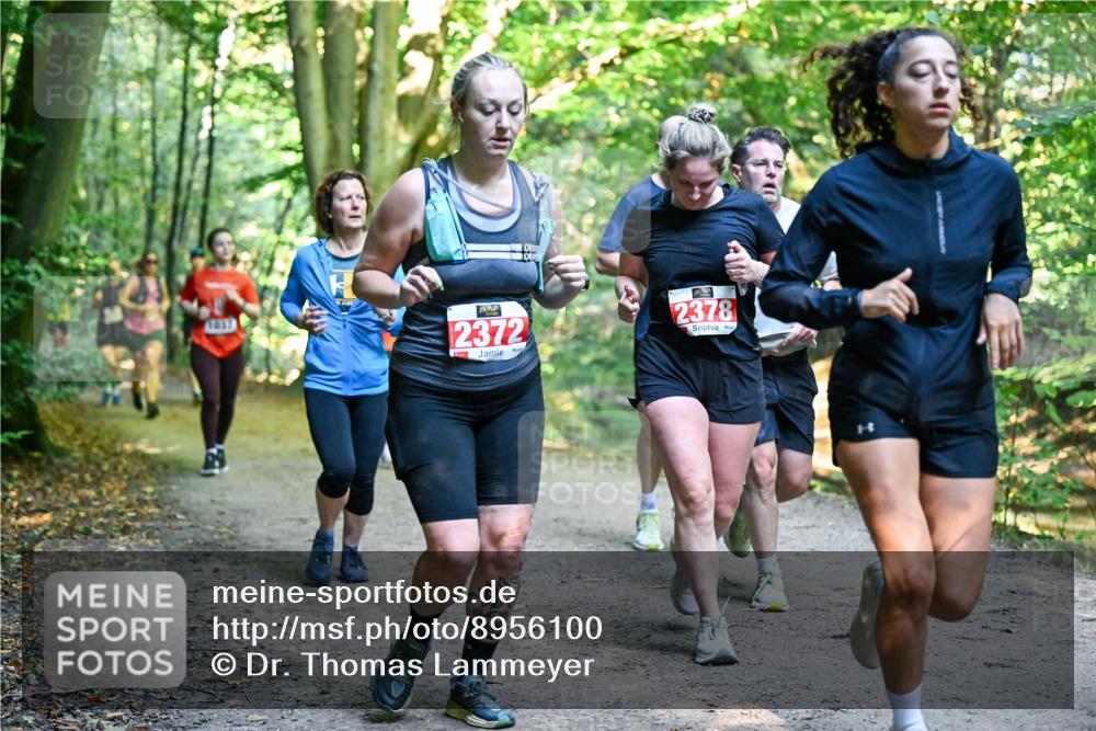 28.09.2025 - 33. Volkslauf durch das schöne Alstertal Dr. Thomas Lammeyer http://msf.ph/oto/8956100 28.09.2025 10:43:47 Laufen 1837, 2372, 2378 meine-sportfotos.de