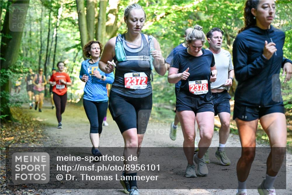 28.09.2025 - 33. Volkslauf durch das schöne Alstertal Dr. Thomas Lammeyer http://msf.ph/oto/8956101 28.09.2025 10:43:47 Laufen 2372, 2378 meine-sportfotos.de